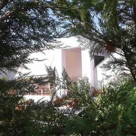 Toris House *